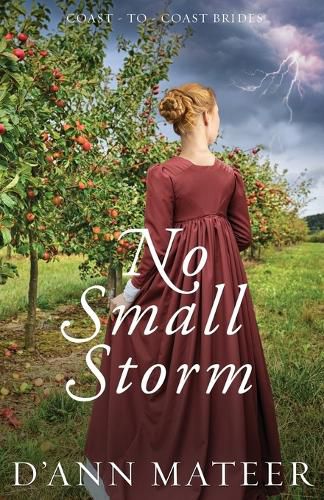 Cover image for No Small Storm