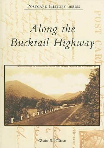 Cover image for Along the Bucktail Highway