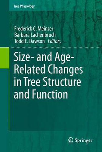 Cover image for Size- and Age-Related Changes in Tree Structure and Function