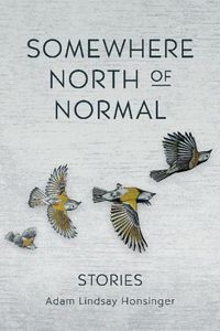 Cover image for Somewhere North of Normal