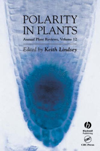 Cover image for Polarity in Plants