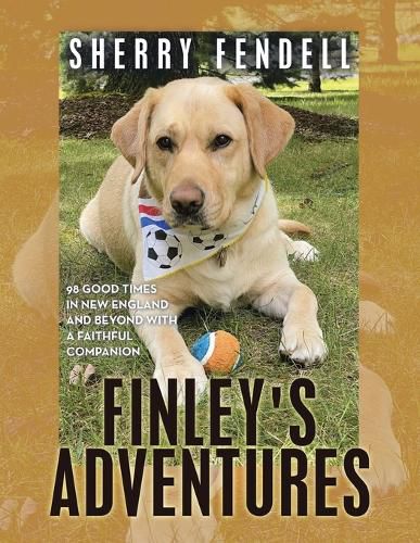 Cover image for Finley's Adventures