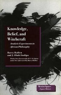 Cover image for Knowledge, Belief, and Witchcraft: Analytic Experiments in African Philosophy