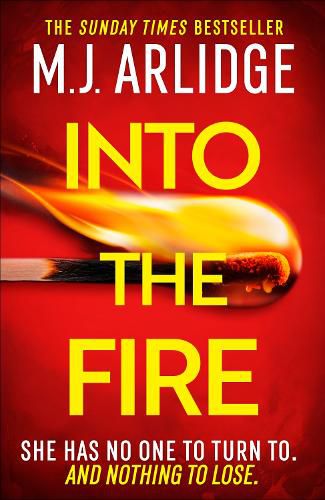Cover image for Into the Fire