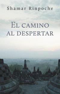 Cover image for El camino al despertar