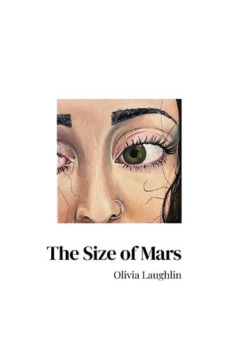 Cover image for The Size of Mars