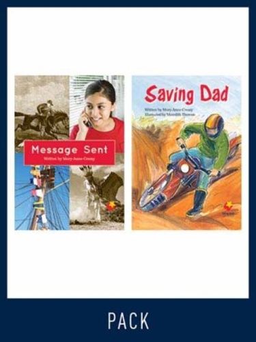Cover image for Flying Start Guided Reading Level 16, Pack 5: Paired student books (6x6) and lesson plan (1)