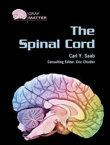 Cover image for The Spinal Cord