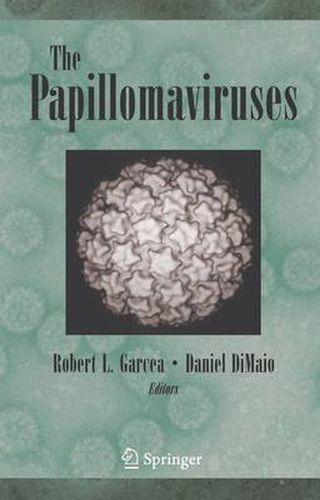 Cover image for The Papillomaviruses