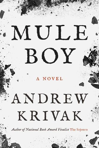 Cover image for Mule Boy