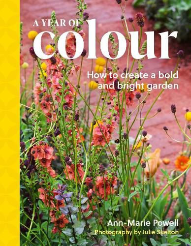 Cover image for A Year of Colour