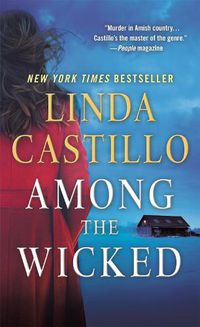Cover image for Among the Wicked: A Kate Burkholder Novel