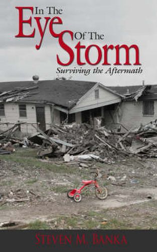 Cover image for In the Eye of the Storm: Surviving the Aftermath