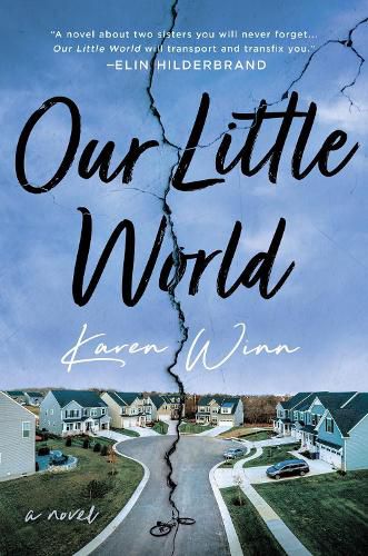 Cover image for Our Little World: A Novel