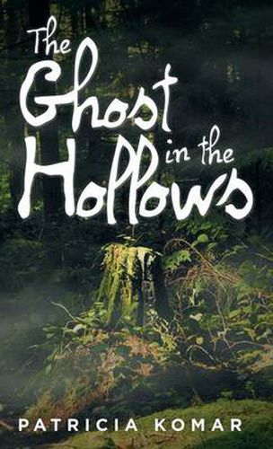 Cover image for The Ghost in the Hollows