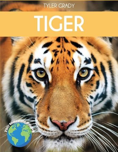 Cover image for Tiger