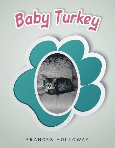 Cover image for Baby Turkey