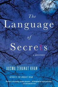 Cover image for The Language of Secrets