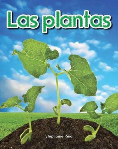Cover image for Las plantas (Plants) Lap Book (Spanish Version)