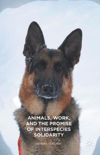 Cover image for Animals, Work, and the Promise of Interspecies Solidarity