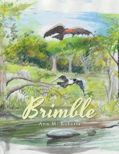 Cover image for Brimble