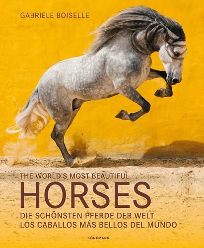 Cover image for The World's Most Beautiful Horses