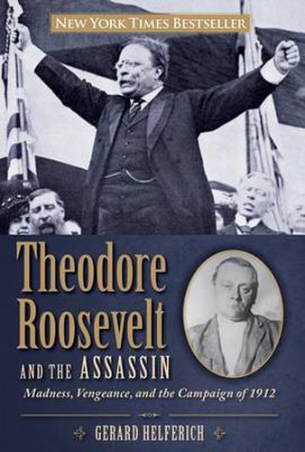 Cover image for Theodore Roosevelt and the Assassin: Madness, Vengeance, And The Campaign Of 1912