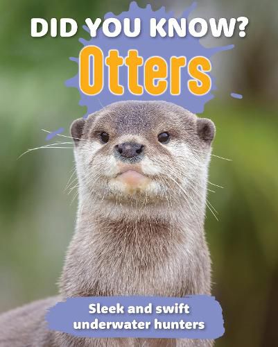 Cover image for Did You Know? Otters