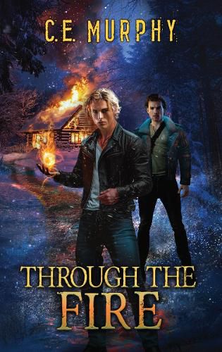 Cover image for Through the Fire