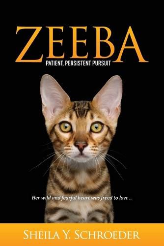 Cover image for Zeeba: Patient, Persistent Pursuit