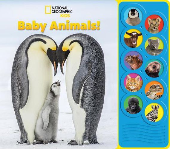 Cover image for National Geographic Kids: Baby Animals! Sound Book