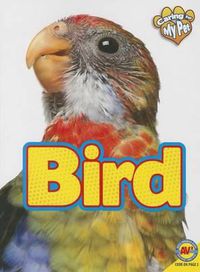 Cover image for Bird