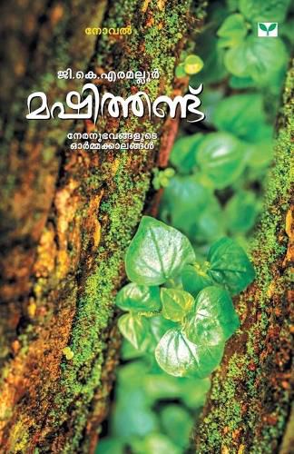 Cover image for Mashithandu