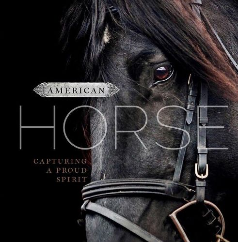 Cover image for American Horse