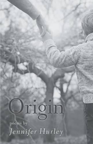 Cover image for Origin