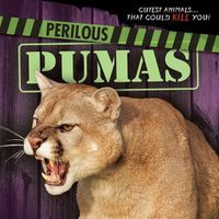 Cover image for Perilous Pumas