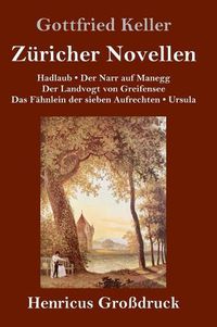 Cover image for Zuricher Novellen (Grossdruck)