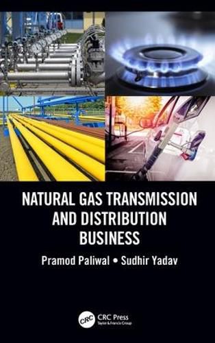 Cover image for Natural Gas Transmission and Distribution Business