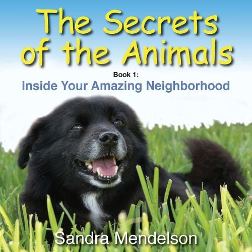 Cover image for The Secrets of the Animals: Inside Your Amazing Neighborhood