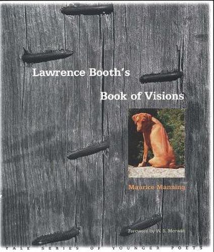 Cover image for Lawrence Booth's Book of Visions