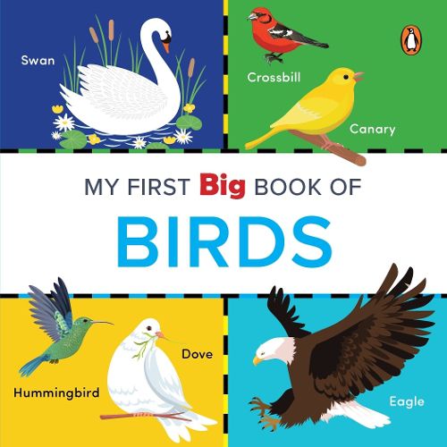 Cover image for My First Big Book of Birds