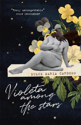 Cover image for Violeta among the Stars