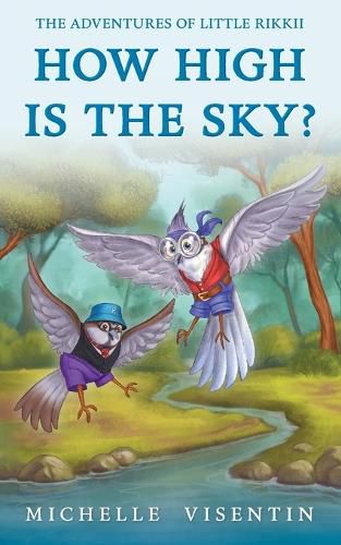 Cover image for How High is the Sky?