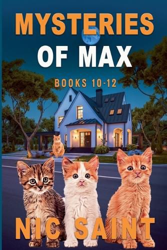 Cover image for Mysteries of Max