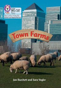 Cover image for Town Farms: Phase 3 Set 1
