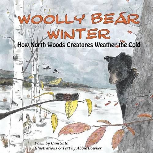 Cover image for Woolly Bear Winter: How North Woods Creatures Weather the Cold