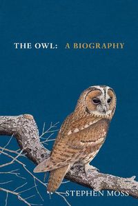 Cover image for The Owl