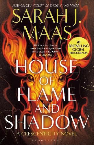 Cover image for House of Flame and Shadow