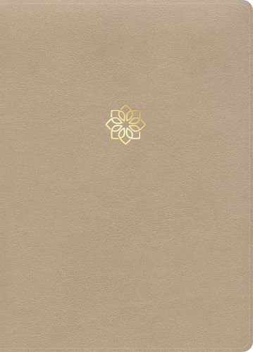 Cover image for CSB Study Bible, Large Print, Digital Study Edition, Gold Leathertouch, Indexed