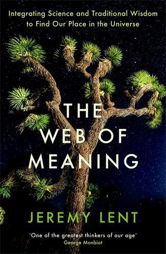 Cover image for The Web of Meaning: Integrating Science and Traditional Wisdom to Find Our Place in the Universe